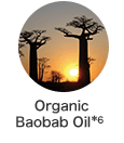 Organic Baobab Oil