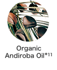 Organic Andiroba Oil