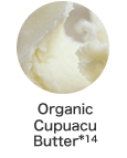 Organic Cupuacu Butter