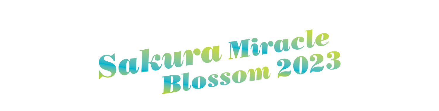 Sakura Miracle Blossom 2023