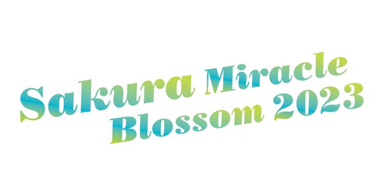Sakura Miracle Blossom 2023