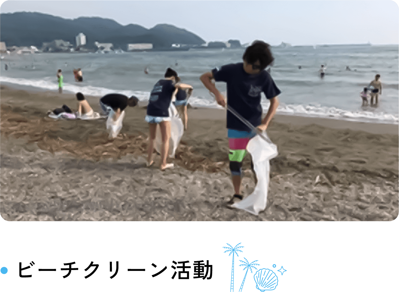 ビーチクリーン活動
