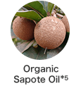 Organic Sapote Oil