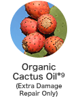 Organic Cactus Oil(Extra Damage Repair Only)