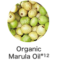 Organic Marula Oil