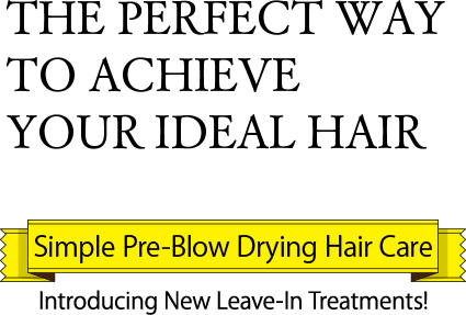 THE PERFECT WAY TO ACHIEVE YOUR IDEAL HAIR Simple Pre-Blow Drying Hair Care Introducing New Leave-In Treatments!