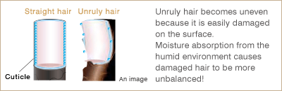 Unruly hair becomes uneven because it is easily damaged on the surface.
Moisture absorption from the humid environment causes damaged hair to be more unbalanced!