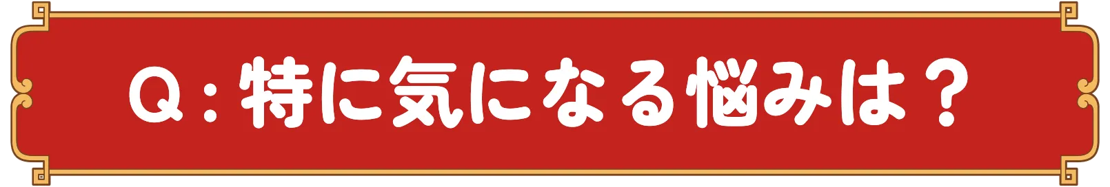 Q：特に気になる悩みは？